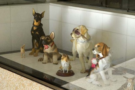 MINI'S PET - Réplicas